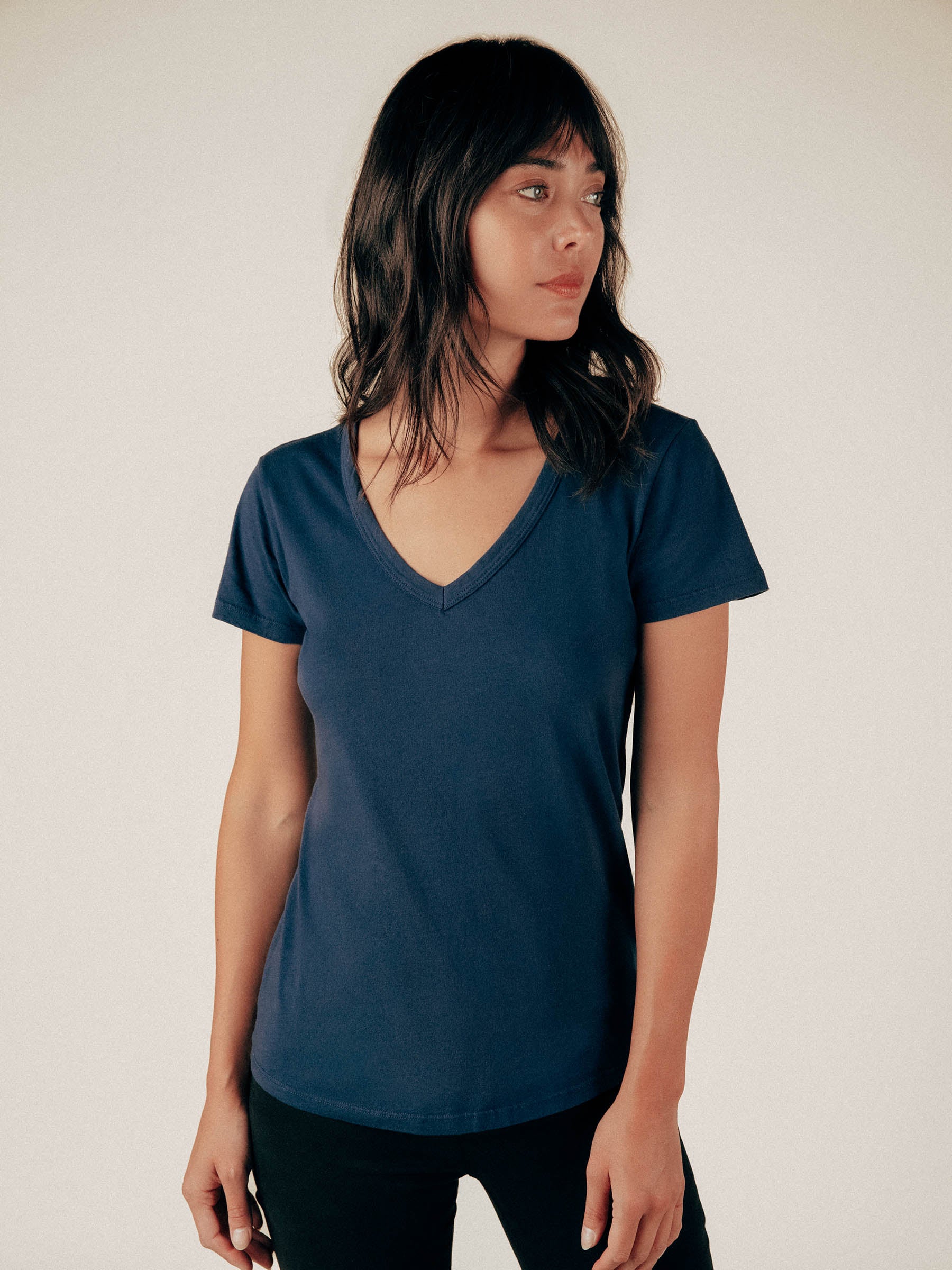 Ink Robin V-Neck Tee - Graceful District